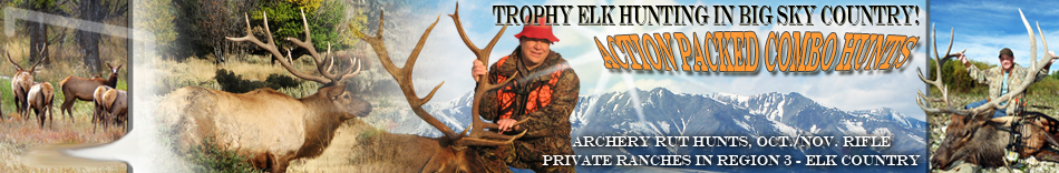 Montana Elk Hunting Trips