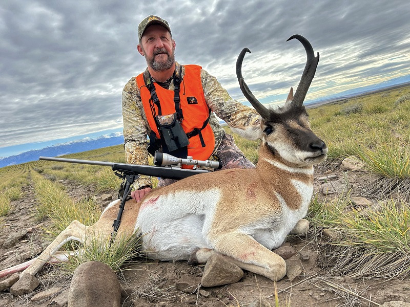 Montana Antelope