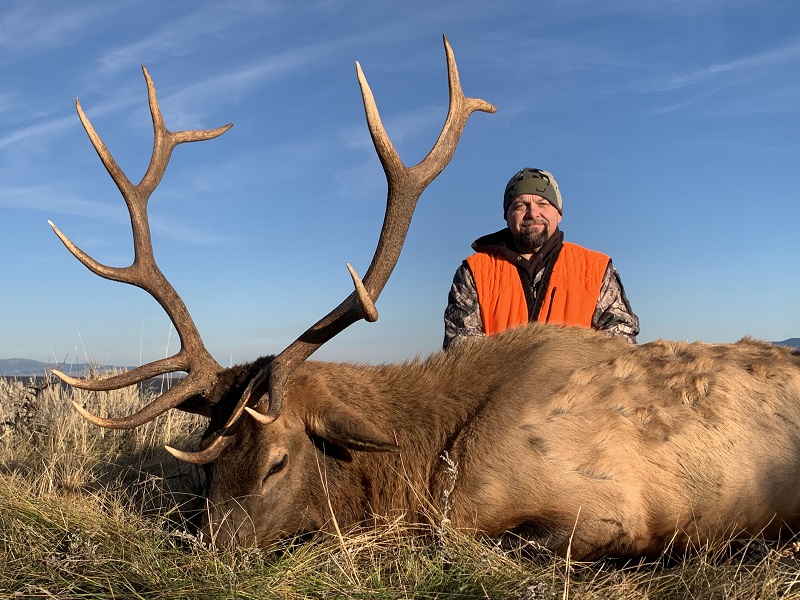 Montana Elk Hunts