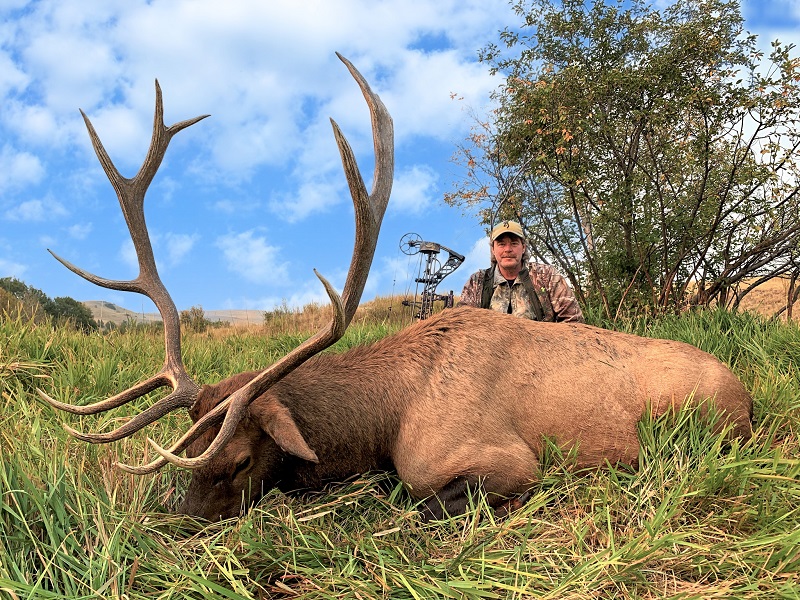Montana Elk Hunt 1