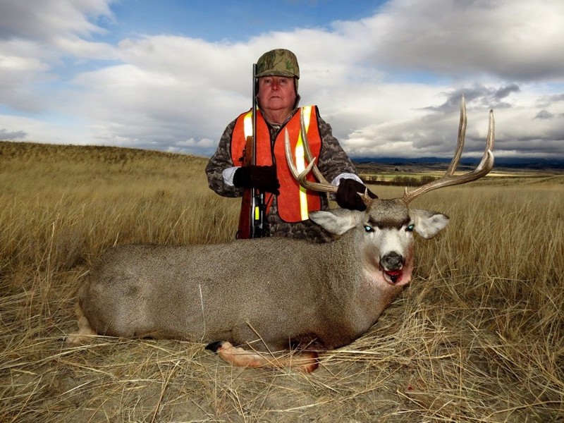 Butch 2014 Mule Deer