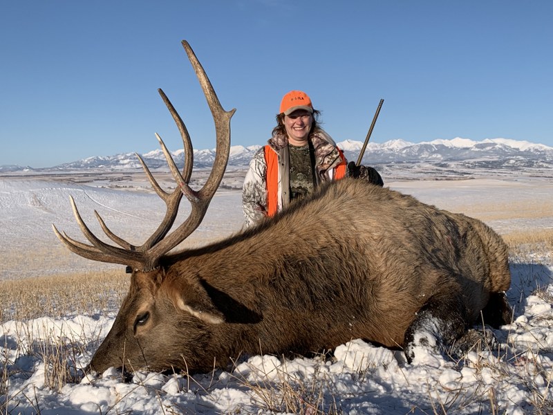 Hunting Elk In Montana 2