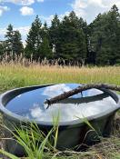 portfolio-wallpaper-439