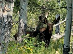 portfolio-wallpaper-441