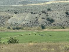 portfolio-wallpaper-444