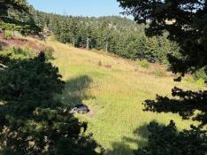 portfolio-wallpaper-449