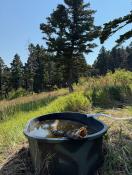 portfolio-wallpaper-451