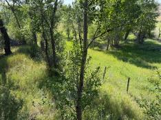 portfolio-wallpaper-458