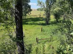 portfolio-wallpaper-459