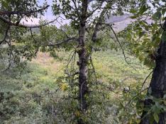 portfolio-wallpaper-464