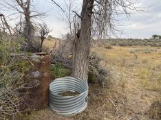 portfolio-wallpaper-463