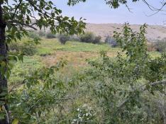 portfolio-wallpaper-465