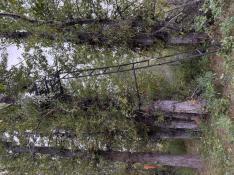 portfolio-wallpaper-466