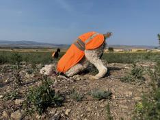 portfolio-wallpaper-467