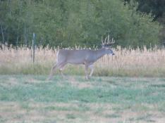 portfolio-wallpaper-470