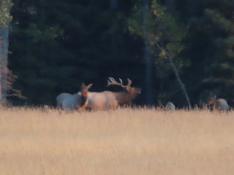 portfolio-wallpaper-471