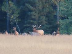 portfolio-wallpaper-473