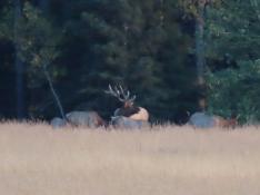 portfolio-wallpaper-474