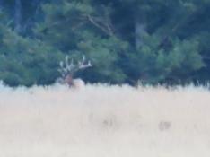 portfolio-wallpaper-475