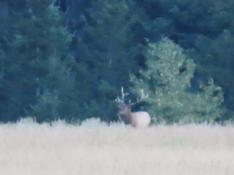 portfolio-wallpaper-476