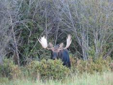 portfolio-wallpaper-477