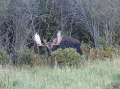 portfolio-wallpaper-479