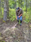 portfolio-wallpaper-484