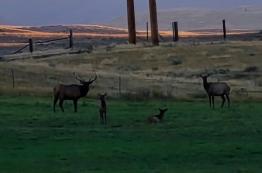 portfolio-wallpaper-489