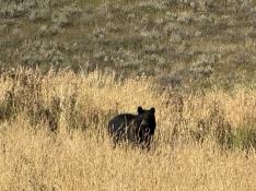 portfolio-wallpaper-490