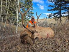 portfolio-wallpaper-520