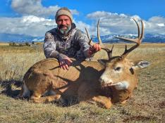 portfolio-wallpaper-522