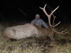 portfolio-wallpaper-521