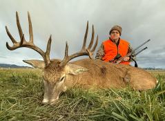 portfolio-wallpaper-524