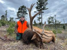 portfolio-wallpaper-526