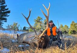 portfolio-wallpaper-527