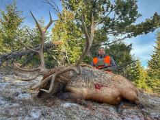 portfolio-wallpaper-528