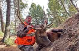 portfolio-wallpaper-529