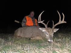 portfolio-wallpaper-530