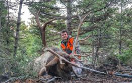 portfolio-wallpaper-534