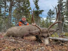 portfolio-wallpaper-536