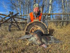 portfolio-wallpaper-538