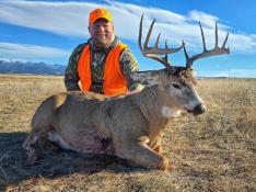 portfolio-wallpaper-539