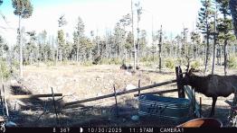 portfolio-wallpaper-542