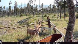 portfolio-wallpaper-541