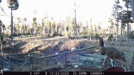 portfolio-wallpaper-540