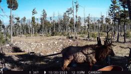 portfolio-wallpaper-543