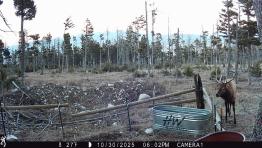 portfolio-wallpaper-544