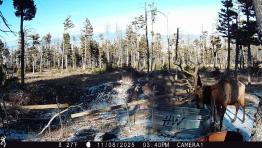 portfolio-wallpaper-545