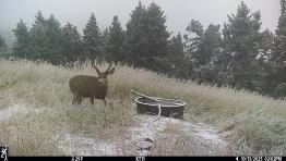 portfolio-wallpaper-546