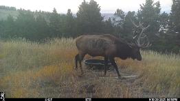 portfolio-wallpaper-547